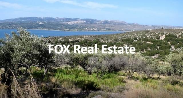 (For Sale) Land Agricultural Land  || Kefalonia/Argostoli - 4.697 Sq.m, 50.000€ 