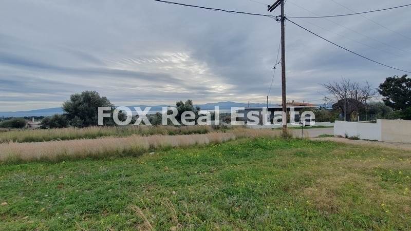 (For Sale) Land Agricultural Land  || Evoia/Amarynthos - 2.077 Sq.m, 50.000€ 